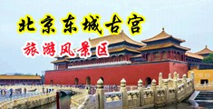 操女人屁眼视频网站中国北京-东城古宫旅游风景区