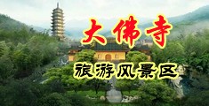 多毛大屄中国浙江-新昌大佛寺旅游风景区